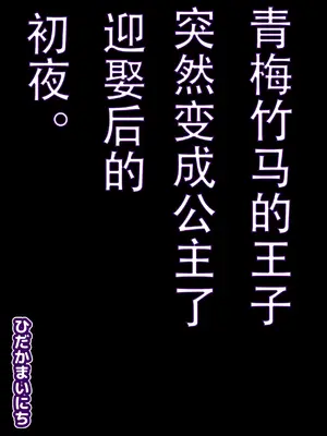 [ひだかまいにち] 幼馴染の王子が突然＂姫＂になって迎えるになった初夜_0002