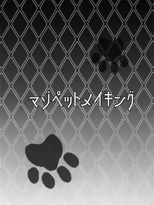 (C105) [どこかのよすみ (隅々四隅)] マゾペットメイキング+ペーパー (ポケットモンスター ブラック2・ホワイト2) [中国翻訳]_0003