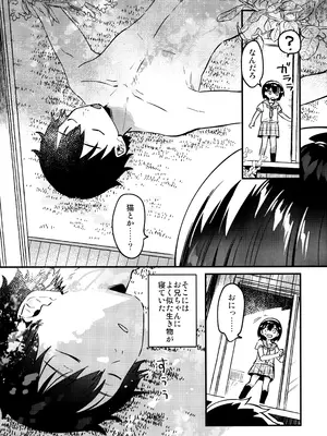 (コミティア152) [squeezecandyheaven (いちはや)] お兄ちゃんを飼う_0003