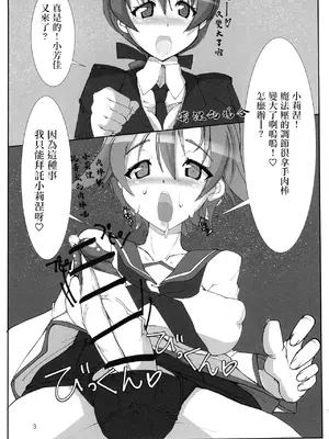 [JCM (ジンボ)] SukebeBook 501RtB (ストライクウィッチーズ) [中国翻訳]_0002