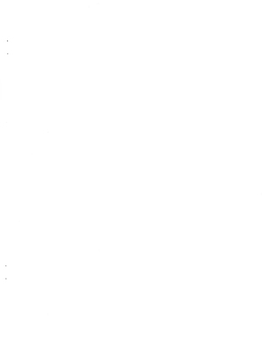 [釣りキチ同盟 (梅玉奈部)] 人員不足なので部下を募集したものの余りにもブラックな環境過ぎて応募が無く追いつめられたチョッキリーヌ様が肉弾接待で闇バイ_0002