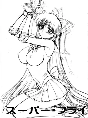 [BLACK DOG (黒犬獣)] SUPER FLY (美少女戦士セーラームーン) [lzmcsa個人漢化]_02