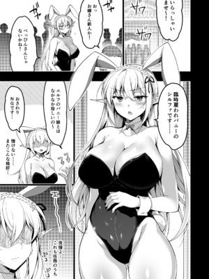 [にのこや (にの子)] エルフに淫紋を付ける本LEVEL：5～8総集編 [DL版]_0005