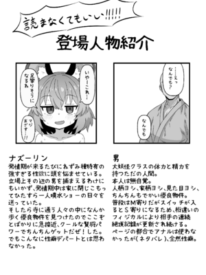 [裏コンブ (ステロン)] なんでもしてくれるナズーリンさん (東方Project) [DL版]_0002
