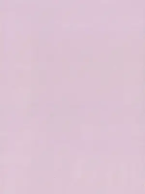 (C107) [virophilia (織日ちひろ)] 不軌 完全版 (ラブライブ！蓮ノ空女学院スクールアイドルクラブ) [中国翻訳]_0003