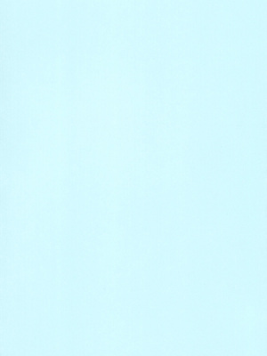 (C108)[ロイヤルみこるヴィレッジ(佐藤ミコル)]セミフレッドが溶けてしまう。(名探偵プリキュア！)_0002