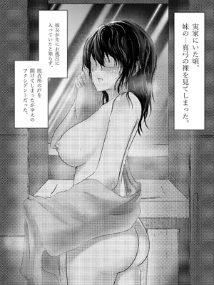 [ミツバチのキャンバス (たびぃ)] わたしたちおかしいんだよ お兄ちゃん ―常識から外れてもあなたが欲しい―_0003
