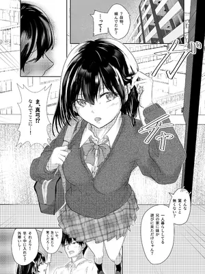 [ミツバチのキャンバス (たびぃ)] わたしたちおかしいんだよ お兄ちゃん ―常識から外れてもあなたが欲しい―_0005