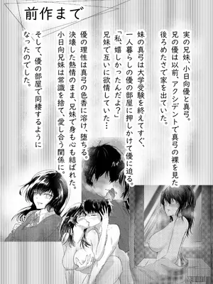 [ミツバチのキャンバス (たびぃ)] 続 わたしたちおかしいんだよお兄ちゃん 兄妹で、夫婦のように_0003