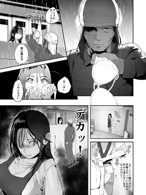 [ROUTE1 (平つくね)] 盗まれた人妻 [DL版]_0011