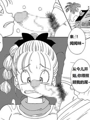 [オールドスクールアカデミー (雨珠秋比人)] DB-X 亀じいの摩訶不思議睡眠拳 卷一 [狄更斯翻译]_0008