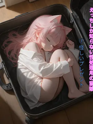 えっちしか知らない性処理用の猫娘#1 怪しいプレゼント [日本語]