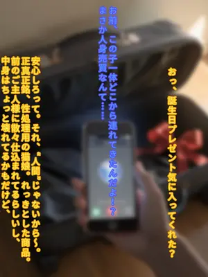 えっちしか知らない性処理用の猫娘#1 怪しいプレゼント [日本語]_19