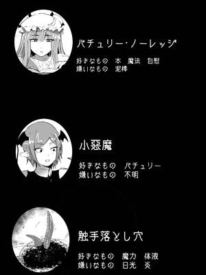 [シニガハチ (シニ画八)] 魔女と小悪魔、感覚遮断穴に堕ちる。 (東方Project)_0002