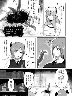 [シニガハチ (シニ画八)] 魔女と小悪魔、感覚遮断穴に堕ちる。 (東方Project)_0004