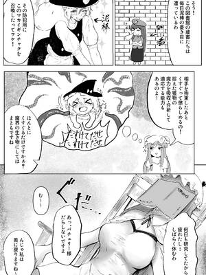 [シニガハチ (シニ画八)] 魔女と小悪魔、感覚遮断穴に堕ちる。 (東方Project)_0005