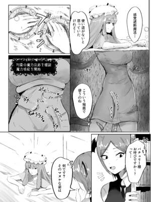 [シニガハチ (シニ画八)] 魔女と小悪魔、感覚遮断穴に堕ちる。 (東方Project)_0010
