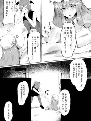 [シニガハチ (シニ画八)] 魔女と小悪魔、感覚遮断穴に堕ちる。 (東方Project)_0011