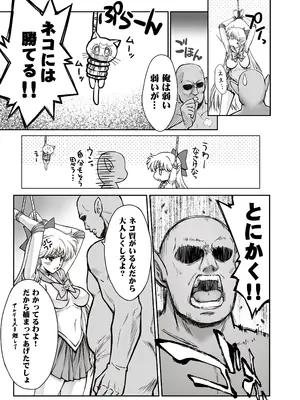 [ブルーガーネット (芹沢克己)] その星は汚されて 9 (美少女戦士セーラームーン) [DL版]_0007