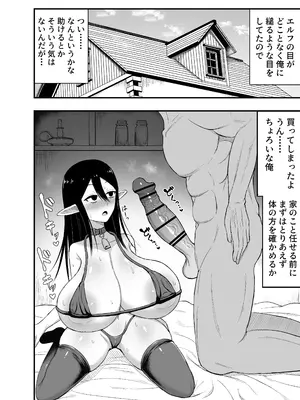 [幽遠亭] なんか従順な爆乳エルフを買ってしまった話_0003