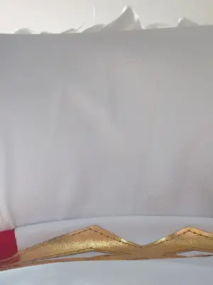 b站咸鱼青椒／尼禄_0009