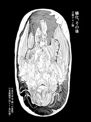 [三筋クエン酸] 蛹化、その後_0003