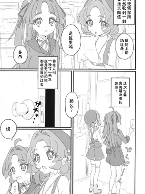 (C108) [ビーメロクリシェ (サインこす)] はなまる大搾精 (名探偵プリキュア！) [背水佬个人汉化]_0003