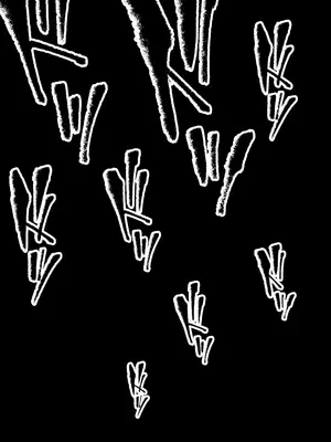 [NoirTissue] 目を覚ましたら_0011