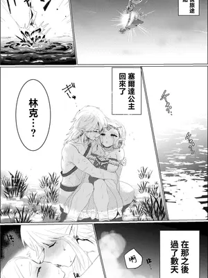 [わさび] アレの修復 (ゼルダの伝説ブレス オブ ザ ワイルド) [沒有漢化]_0003