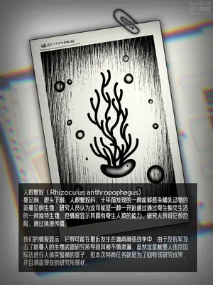 [羊角乌鸦] 新疯狂宝贝（无码） [Chinese]_0002