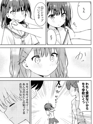 (C108) [伊佐海書肆 (いさみ澪)] 完璧なお兄を所望します！ (ガマンができない童貞兄キと、スナオになれない反抗妹)_0006