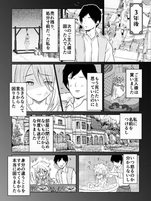[250歩の路地 (歩路地)] 中古奴隷に自由を与えるな_0010