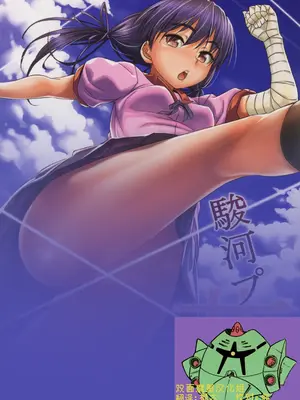 (C84) [AERODOG (inu)] 駿河プレイ花 (化物語) [中国翻訳]_0002