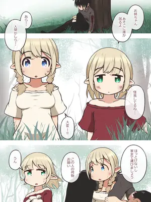 [えちえち大福 (猫大福)] エルフの姉妹に助けられた冒険者が性奴○にされるお話_0002