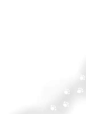 [二兎屋 (にと)] 猫はマタタビの夢をみる (ゼンレスゾーンゼロ)｜猫儿梦见木天蓼 [紫藤汉化组] [DL版]_0003